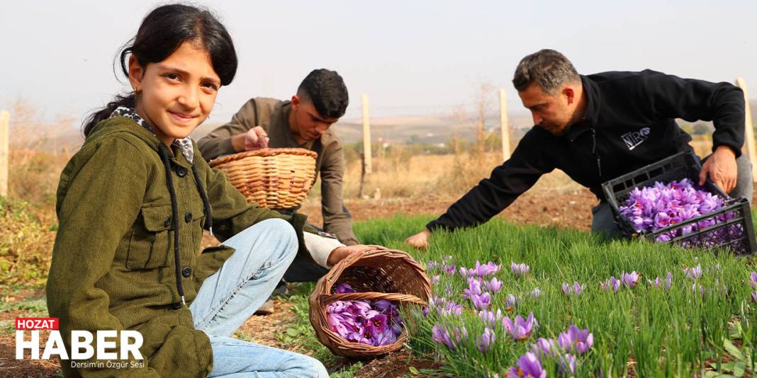 Deneme Amaçlı Başladı, kilosu 200 Bin Liraya Satılıyor 1